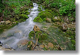 images/Europe/Slovenia/TriglavskiNarodniPark/flowing-stream-in-forest-1.jpg