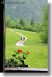 dirt, europe, flowers, geraniums, hikers, hiking, roads, slovenia, triglavski narodni park, vertical, photograph