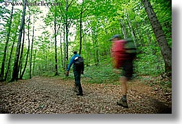 europe, forests, hikers, hiking, horizontal, lush, slovenia, slow exposure, trees, triglavski narodni park, photograph
