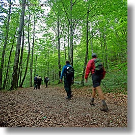 images/Europe/Slovenia/TriglavskiNarodniPark/hiking-in-forest-2.jpg