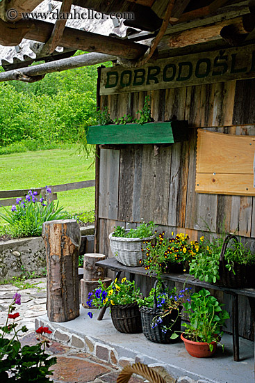 plants-on-porch.jpg