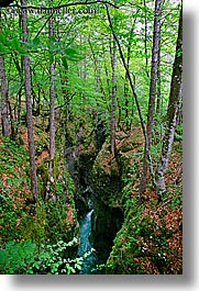 europe, forests, gorge, lush, rivers, slovenia, triglavski narodni park, vertical, photograph