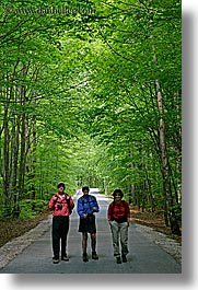 images/Europe/Slovenia/WT-Group/Group/tree-tunnel-hikers.jpg