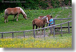 images/Europe/Slovenia/WT-Group/James-Patty-Clark/patty-n-horses-1.jpg