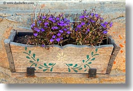 images/Europe/Spain/AiguestortesHike1/purple-flowers-in-box.jpg