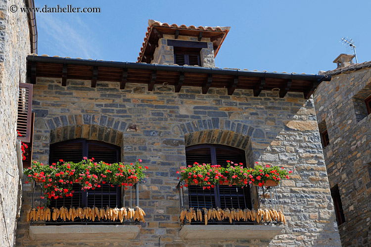 flowers-in-window-01.jpg