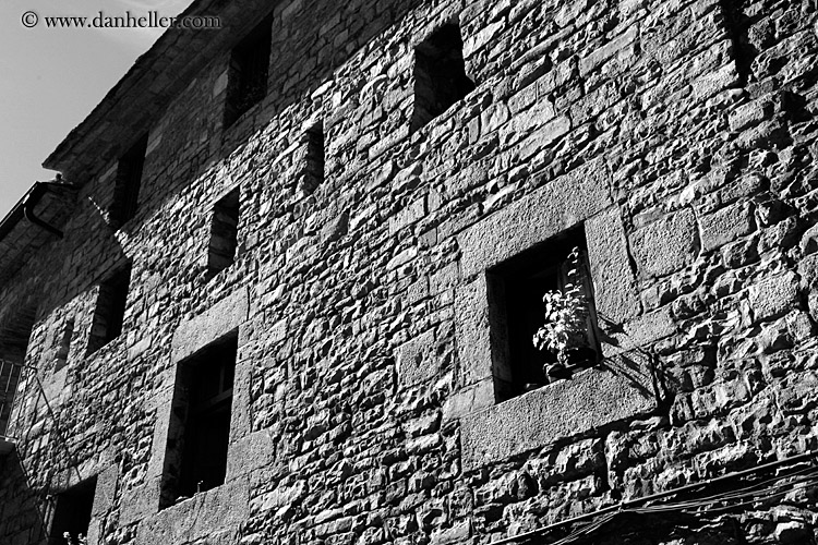 plant-in-window-bw.jpg