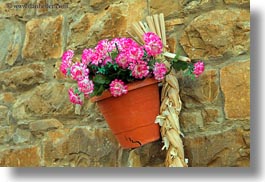 images/Europe/Spain/Ainsa/wall-flowers-01.jpg