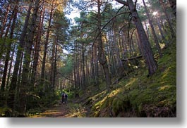 images/Europe/Spain/Ansovell/hikers-n-forest-01.jpg