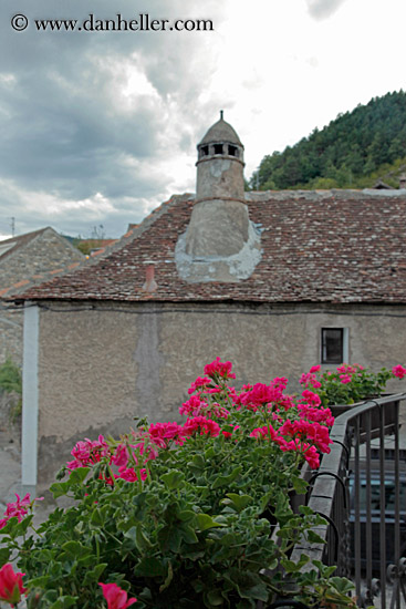 flowers-n-chimney.jpg