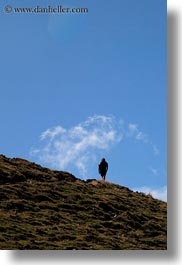 images/Europe/Spain/MtBisaurin/hiking-in-hills-08.jpg