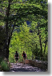 images/Europe/Spain/Ordesa/hiking-in-trees-03.jpg
