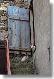 images/Europe/Spain/Torla/cats-stairs-n-door.jpg