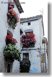 images/Europe/Spain/Torla/flowers-in-windows-04.jpg