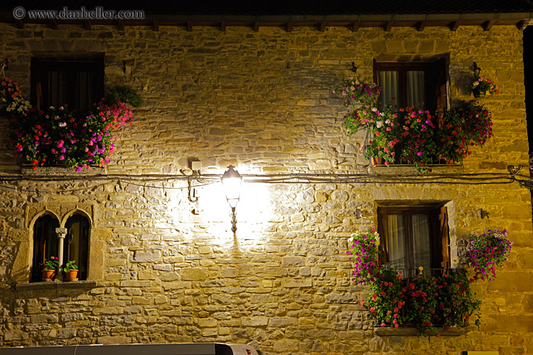 night-flowers-windows-03.jpg