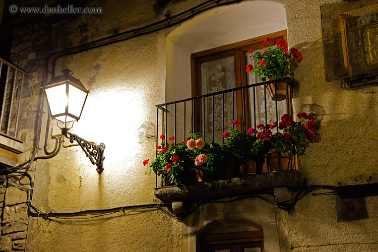 night-flowers-windows-04.jpg