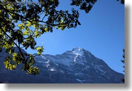 images/Europe/Switzerland/Grindelwald/eiger-n-tree-leaves-02.jpg