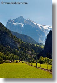 images/Europe/Switzerland/Grindelwald/trees-n-mtns-02.jpg