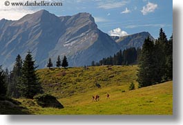 images/Europe/Switzerland/Kandersteg/LakeOeschinensee/hiking-by-mtns-08.jpg