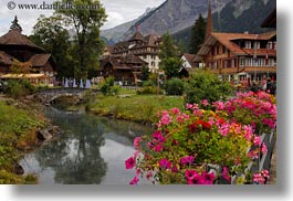 images/Europe/Switzerland/Kandersteg/Scenics/flowers-n-river.jpg