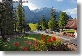 images/Europe/Switzerland/Kandersteg/WaldHotelDoldenhorn/flowers-n-mtns.jpg