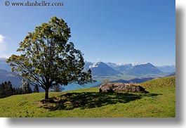 images/Europe/Switzerland/Lucerne/MtRigi/tree-n-landscape-01.jpg