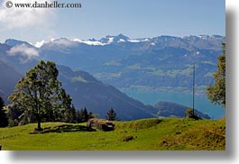 images/Europe/Switzerland/Lucerne/MtRigi/tree-n-landscape-02.jpg