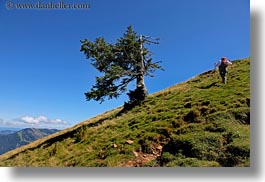 images/Europe/Switzerland/Lucerne/MtRigi/tree-n-mtns-hiker.jpg