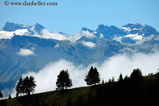 trees-n-fog-n-mtns.jpg