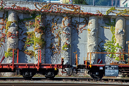 train-car-n-ivy.jpg