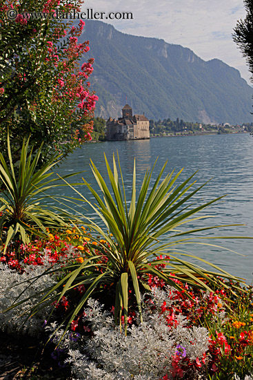 chateau-de-chillon-n-plants-01.jpg