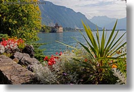 images/Europe/Switzerland/Montreaux/ChateauDeChillon/chateau-de-chillon-n-plants-03.jpg