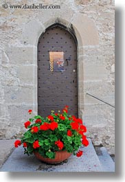 images/Europe/Switzerland/Montreaux/Flowers/flowers-at-door.jpg
