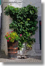 images/Europe/Switzerland/Montreaux/Flowers/flowers-in-barrel-01.jpg