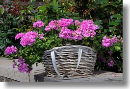 images/Europe/Switzerland/Montreaux/Flowers/flowers-in-basket.jpg