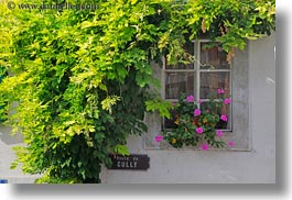 images/Europe/Switzerland/Montreaux/Flowers/flowers-in-window-01.jpg