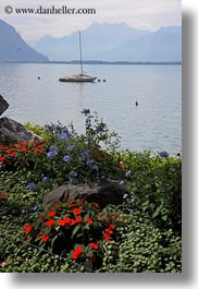 images/Europe/Switzerland/Montreaux/Flowers/flowers-n-boats-04.jpg