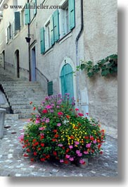 images/Europe/Switzerland/Montreaux/Flowers/flowers-on-street-02.jpg