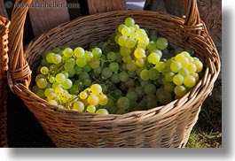 images/Europe/Switzerland/Montreaux/Grapes/white-grapes-in-basket-01.jpg
