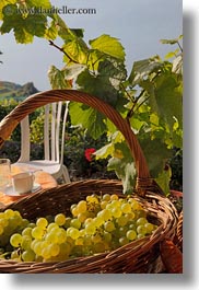 images/Europe/Switzerland/Montreaux/Grapes/white-grapes-in-basket-04.jpg
