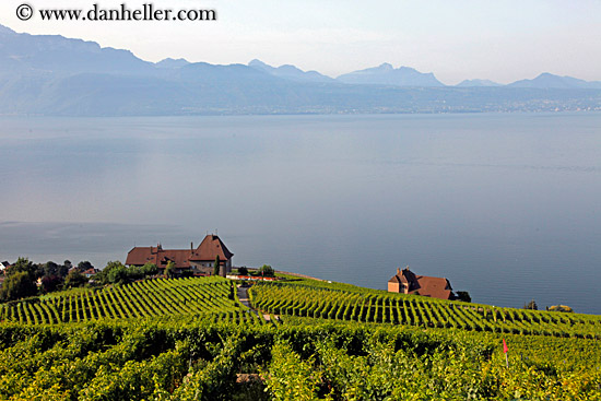 vineyards-house-n-lake-01.jpg