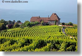 images/Europe/Switzerland/Montreaux/Villette/vineyards-house-n-lake-02.jpg
