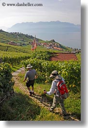 europe, hikers, montreaux, switzerland, vertical, villette, vineyards, photograph