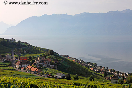 vineyards-town-n-lake-02.jpg