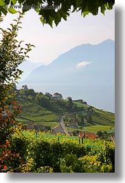 images/Europe/Switzerland/Montreaux/Villette/vineyards-town-n-lake-06.jpg