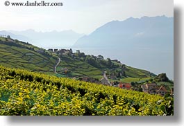 images/Europe/Switzerland/Montreaux/Villette/vineyards-town-n-lake-07.jpg