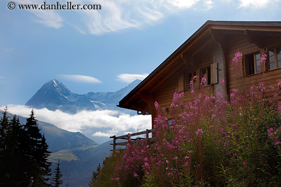 flowers-house-n-mtn.jpg