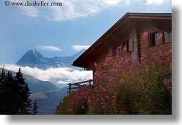 images/Europe/Switzerland/Murren/Flowers/flowers-house-n-mtn.jpg