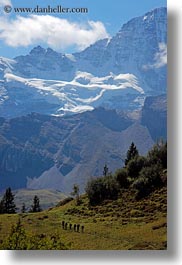 images/Europe/Switzerland/Murren/Hikers/big-view-hikers-n-mtns-04.jpg