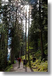 images/Europe/Switzerland/Murren/Hikers/hiking-in-forest.jpg